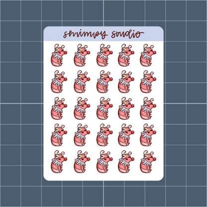 Clown Shrimps